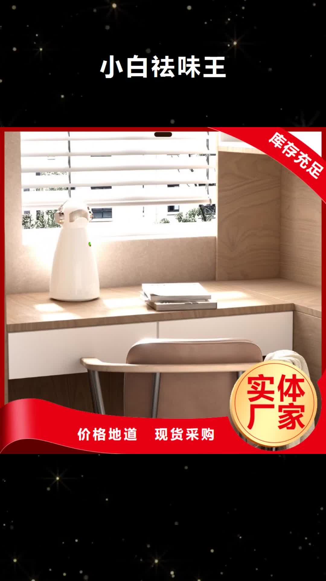 肇庆 小白祛味王 【空气消毒机报价】品牌企业
