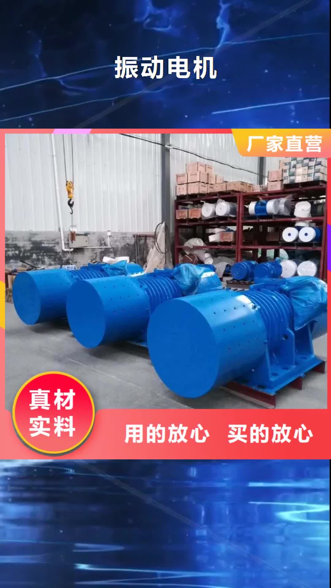 绥化 振动电机-【平板振动器】精选好货