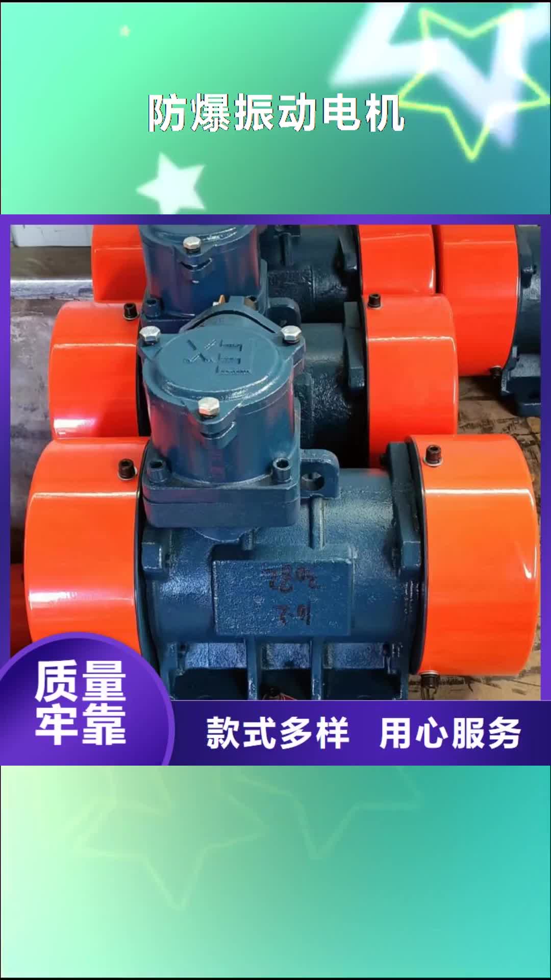 贵港【防爆振动电机】 输送机厂家用心做好每一件产品