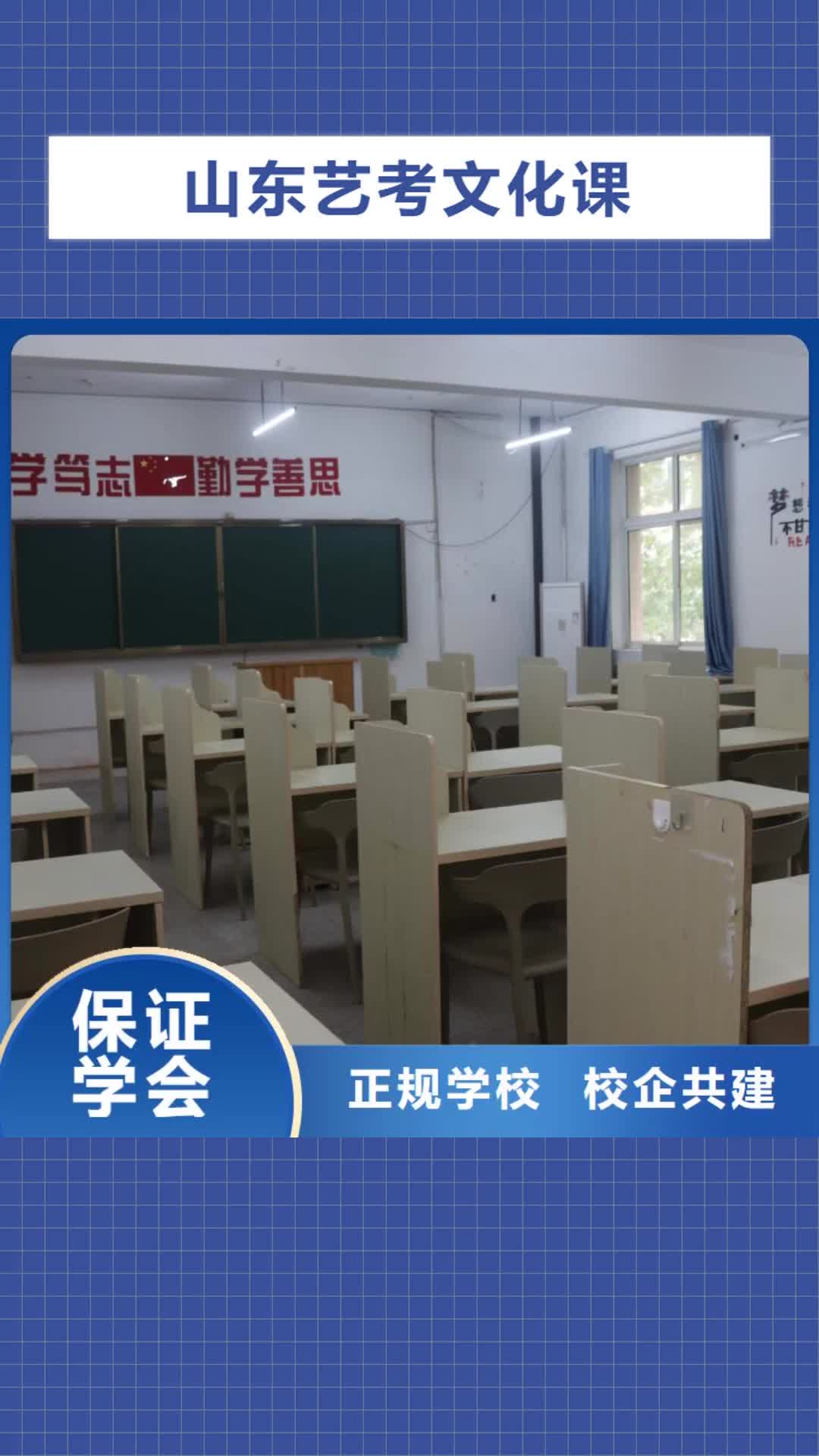 阿拉善山东艺考文化课实操教学