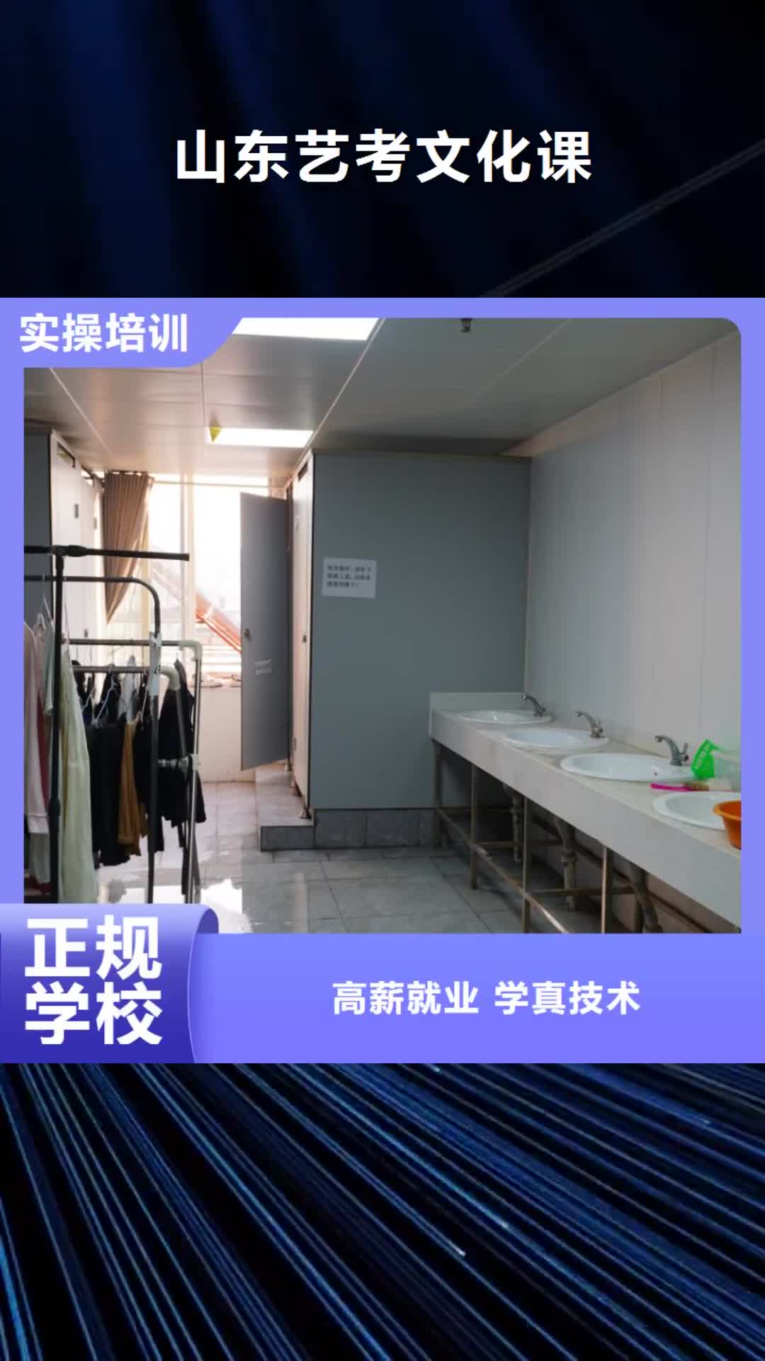 张掖 山东艺考文化课师资力量强