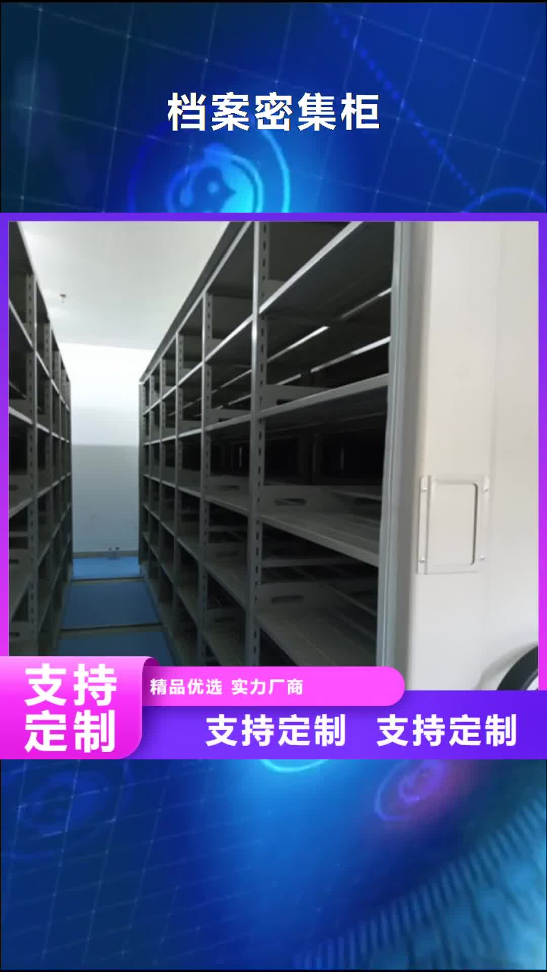 【邵阳档案密集柜橱式手动密集架专业生产制造厂】