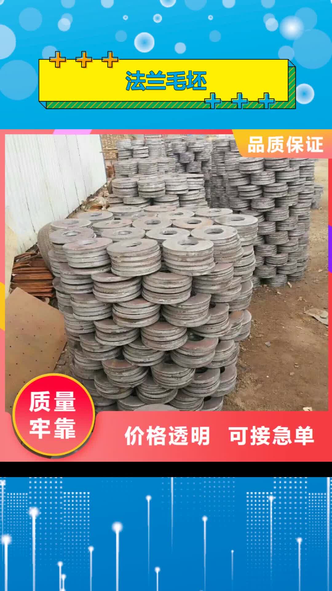 【新乡 法兰毛坯 法兰生产厂家海量库存】