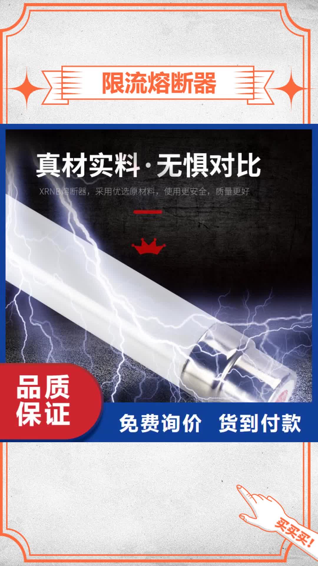东莞 限流熔断器 【跌落式熔断器】精选厂家好货