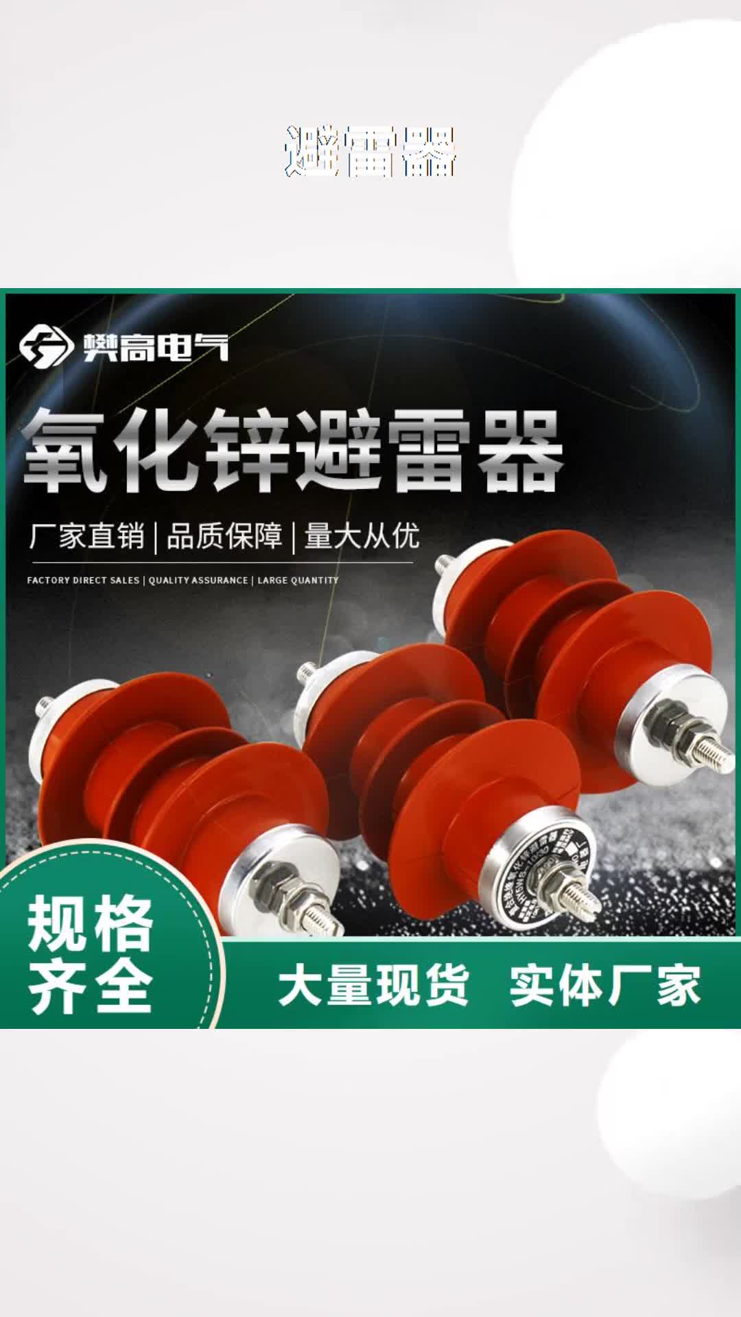梅州避雷器氧化锌避雷器定制定做