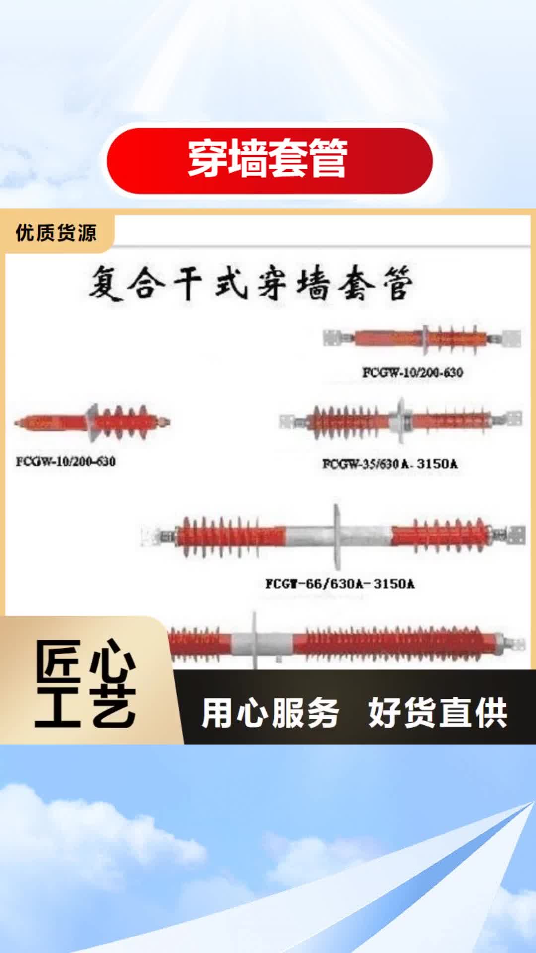 牡丹江穿墙套管真空断路器物美价优