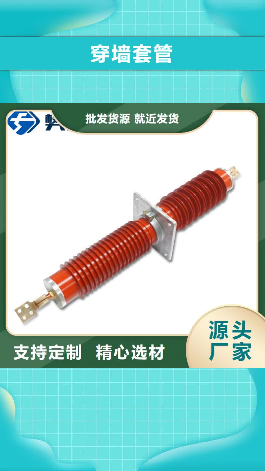 赤峰穿墙套管真空断路器严选用料