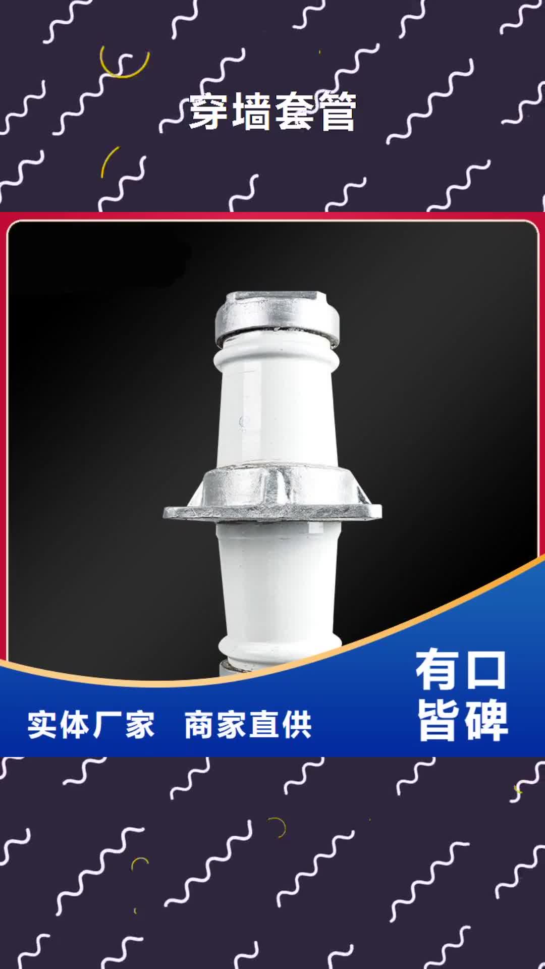 【内蒙古 穿墙套管真空断路器商家】