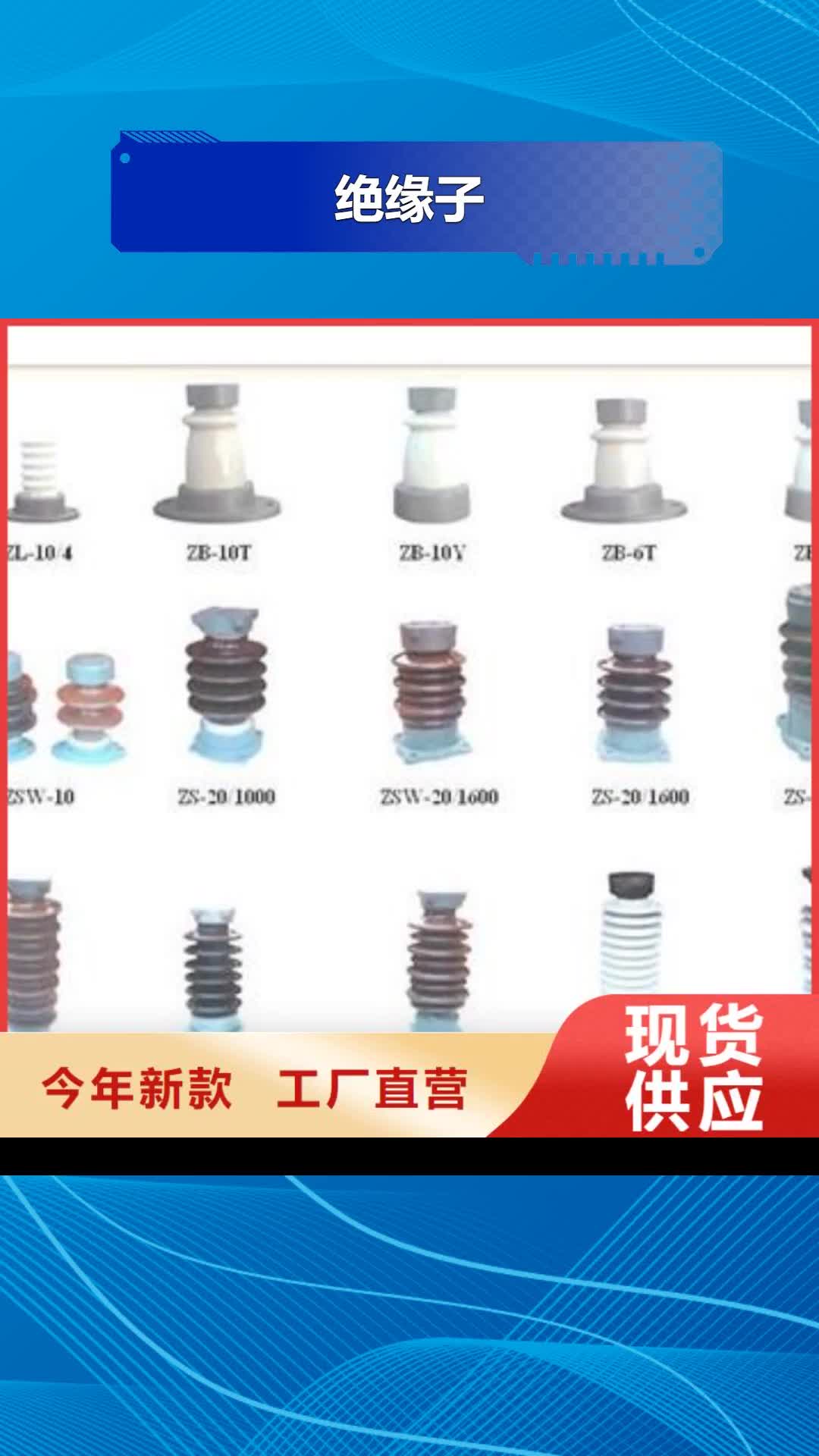 定西 绝缘子_【高低压电器】免费获取报价