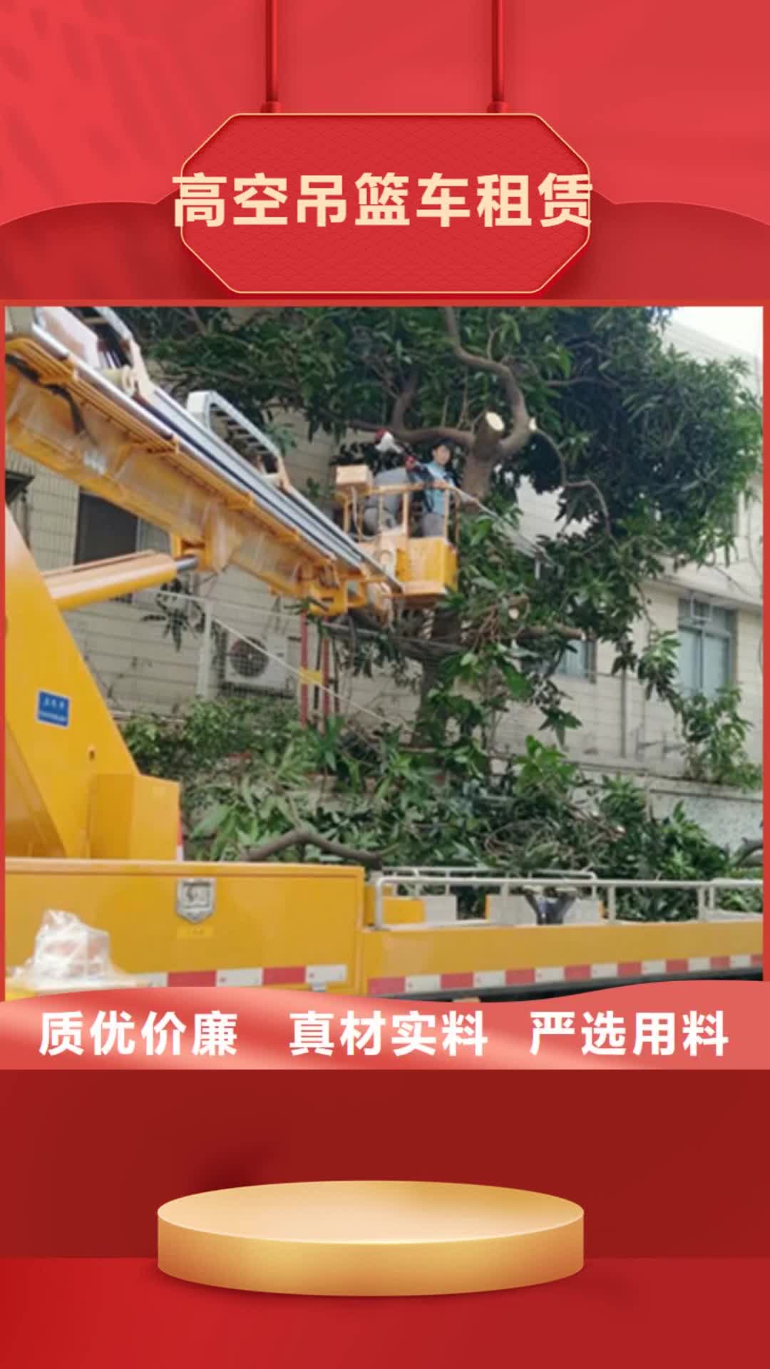 牡丹江 高空吊篮车租赁今日价格