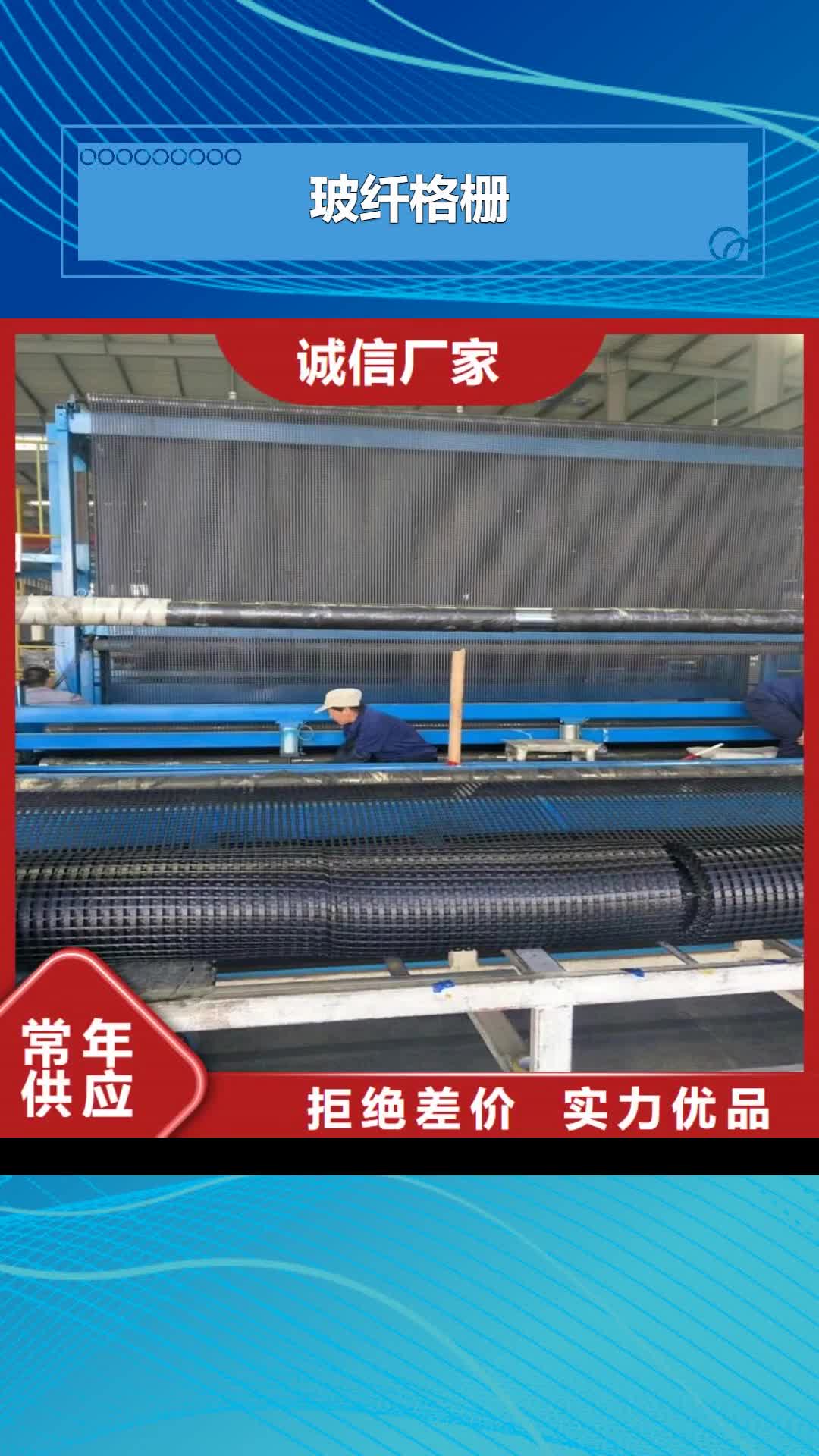 安顺【玻纤格栅】-三维植被网厂家直营