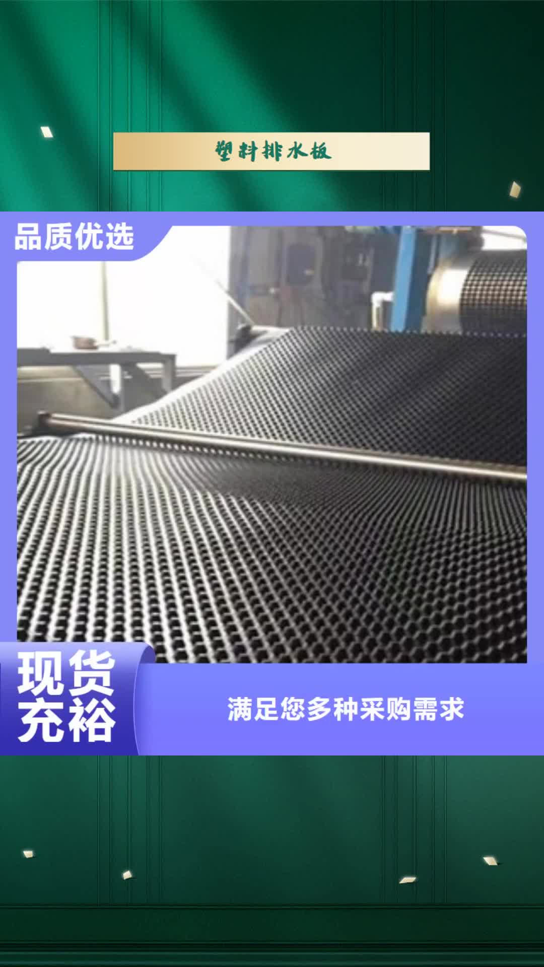 【菏泽 塑料排水板,三维植被网主推产品】