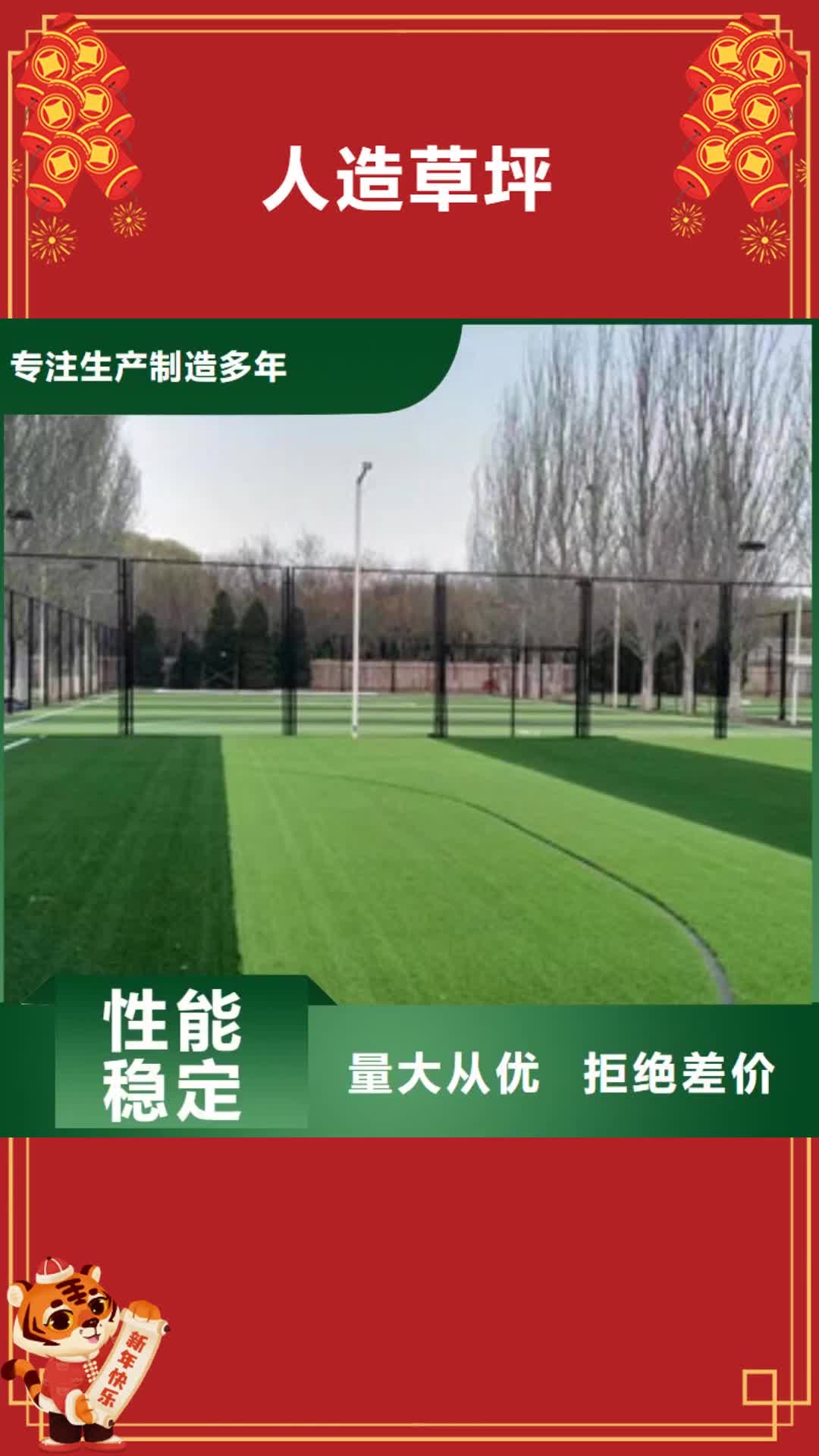【湘西 人造草坪-室外健身器材厂家直销】