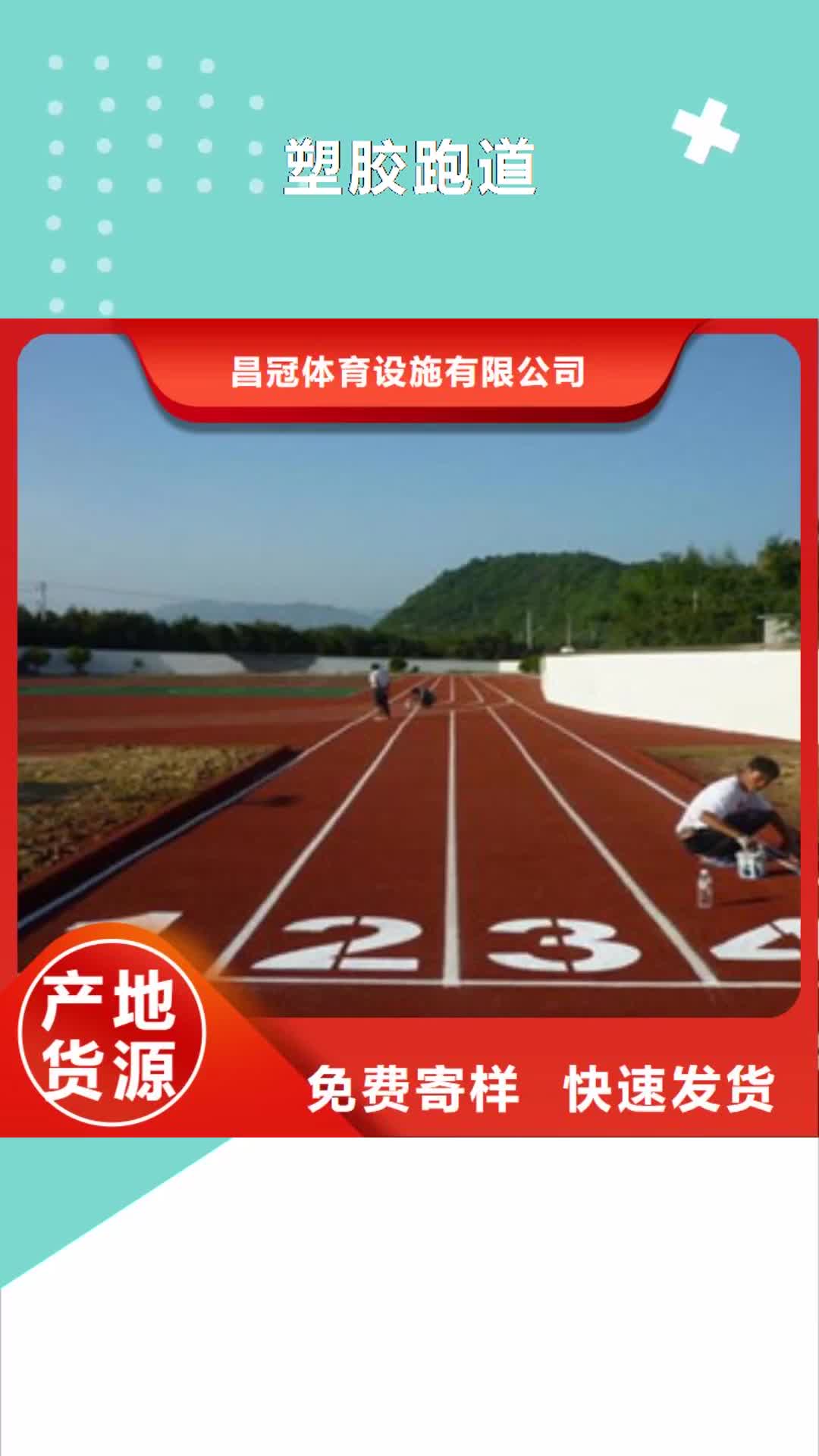 芜湖【塑胶跑道】-人造草坪厂家实力雄厚