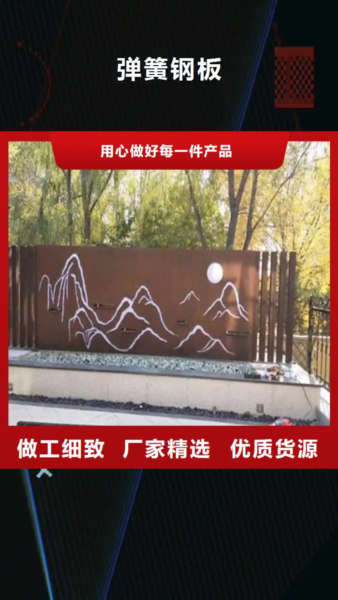 巴中 弹簧钢板-【耐磨钢板】品质优良
